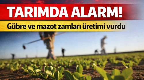 Tarımda alarm: Gübre ve mazot zamları üretimi vurdu