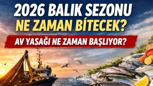 2026 Balık Sezonu Ne Zaman Bitecek? Av Yasağı Hangi Tarihte Başlıyor?