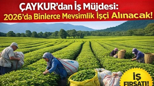ÇAYKUR’dan iş müjdesi: 2026’da binlerce mevsimlik işçi alınacak!