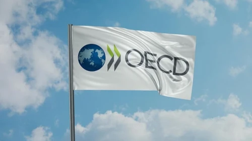 OECD Türkiye için enflasyon uyarısı yaptı