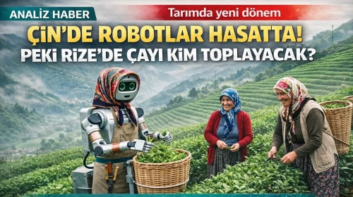 Çin'de Çay Hasadı Robotlara Emanet! Rize'de robotlar çay topladığında ne olacak?