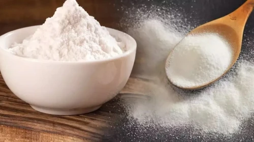 Rize’de Hamam Böceklerine Karşı Doğal Çözüm