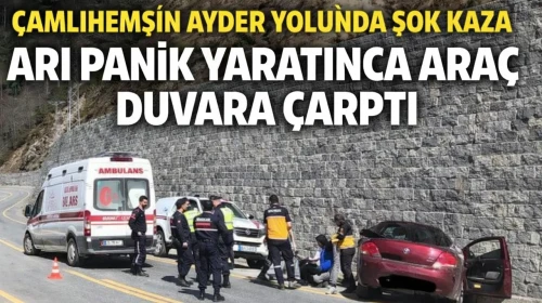 Çamlıhemşin Ayder Yolunda Şok Kaza: Arı Panik Yaratınca Araç Duvara Çarptı