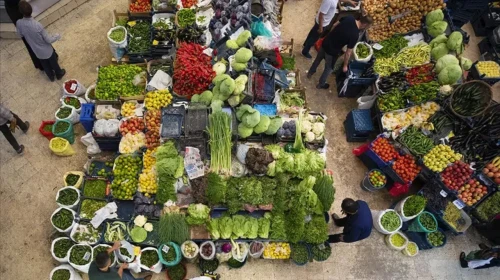 TÜİK, 2025 Yılına Ait Bitkisel Ürün Denge Tablolarını Açıkladı!