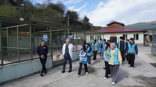 Rize'deki gençlerden sokak hayvanları için anlamlı ziyaret ve farkındalık etkinliği