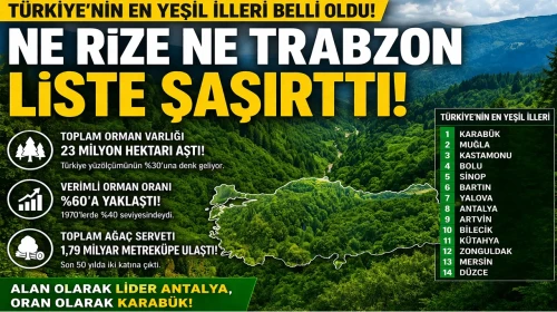 Ne Rize ne Trabzon Türkiye’nin En Yeşil İlleri Açıklandı: Zirvede Sürpriz İsimler Yer Aldı