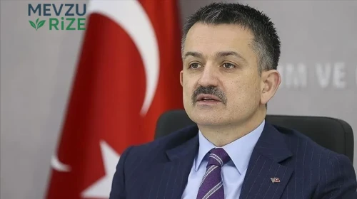 Bekir Pakdemirli kimdir, ne iş yapıyor?