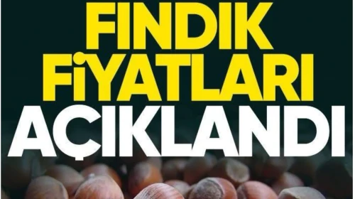 Fındık Fiyatları Açıklandı!