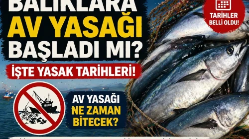 BALIKLARA AV YASAĞI BAŞLADI MI? Av Yasağı Ne Zaman Bitecek?