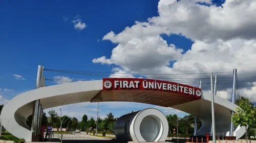 Fırat Üniversitesi sözleşmeli personel alacak!