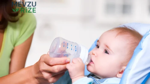 Rizeli Aileler Dikkat! Anneler İçin 750 TL Destek Başladı