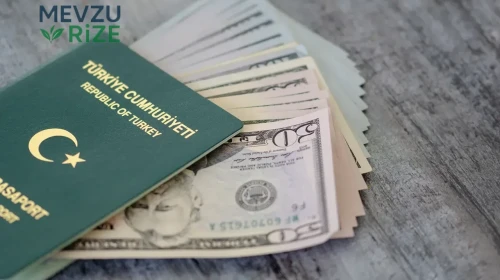 TBMM'de Yeni Düzenleme: İki Meslek Grubuna Yeşil Pasaport İmkanı!