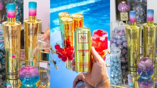 2026 Güncel Votka Fiyatları Au Vodka, Grey Goose, Haku ve Absolut Elyx Karşılaştırmalı Tablo