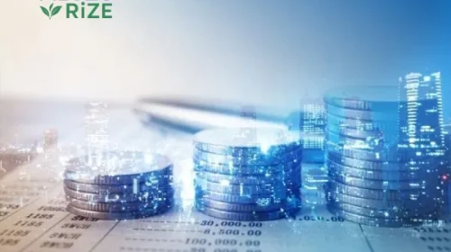 Turcas Holding, Yatırımcılarına Kar Payı Müjdesi Verdi!