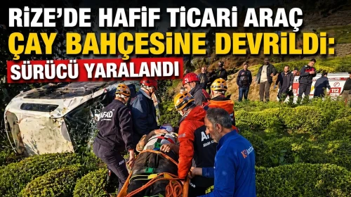 Rize'de hafif ticari araç çay bahçesine devrildi: Sürücü yaralandı