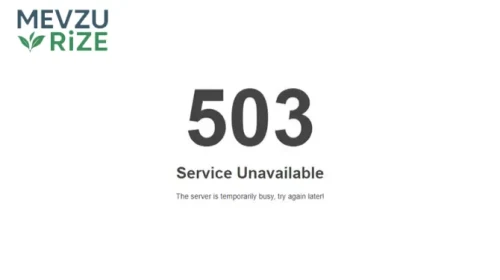 Nok 503 Hatası Nedir? Nasıl Çözülür? 2026