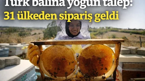 Türk balına yoğun talep: 31 ülkeden sipariş geldi