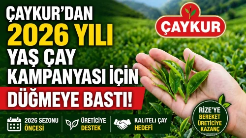 Çaykur 2026 yılı yaş çay kampanyası için düğmeye bastı