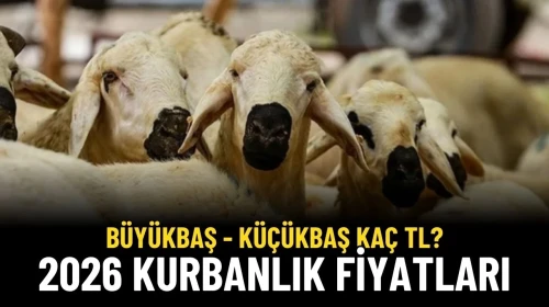 2026 Kurbanlık Fiyatları Belli Oldu! Büyükbaş ve Küçükbaş Kurbanlık Kaç TL?