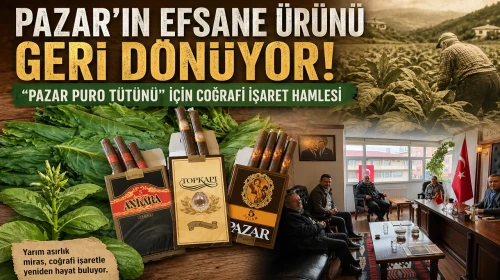 Pazar’ın Efsane Ürünü Geri Dönüyor: Pazar Puro Tütünü İçin Coğrafi İşaret Hamlesi