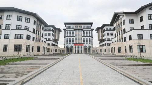 Altınordu'da Boğulma Olayı: Bir Kişi Hastanede Yaşamını Yitirdi