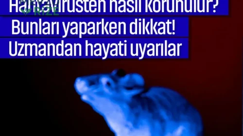 Hantavirüsten nasıl korunulur? Bunları yaparken dikkat! Uzmandan hayati uyarılar