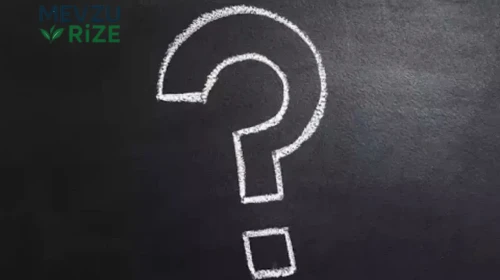 Orhan Aladağ kimdir? Kaç yaşında, ne iş yapıyor? Nereli?