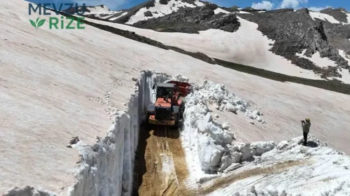 Alanya, Yaz Sezonuna Hazırlık Olarak Karlama Sürecine Girdi!