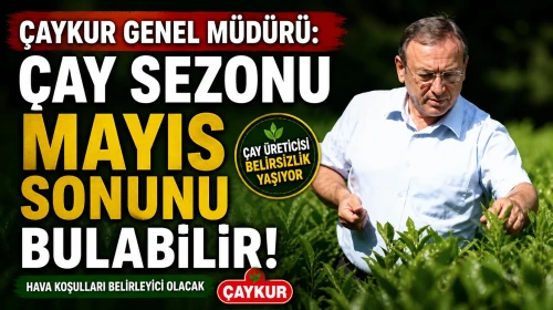 Çaykur Genel Müdürü: Çay sezonu Mayıs sonunu bulabilir!