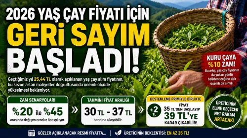 2026 Yaş Çay Fiyatı İçin Geri Sayım Başladı: Üretici 35-39 TL Bandını Bekliyor