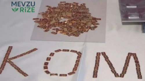 350 Kilo Altın Kaç TL? Kimin Evinde 350 Kilo Altın Bulundu?