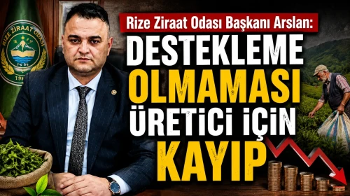 Rize Ziraat Odası: Yaş çay taban fiyatı yeterli, destekleme ücreti kayıp!