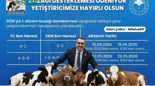 AK Parti Kars Milletvekili Adem Çalkın'dan Sevindirici Haber!