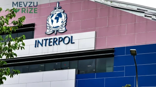 INTERPOL Acil Zirveye Geçti: Küresel Organize Suçlar Alarm Verdi!