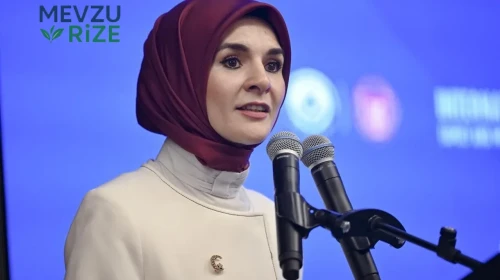 Bakan Göktaş'tan Yeni Doğum İzni Düzenlemeleri Üzerine Açıklama