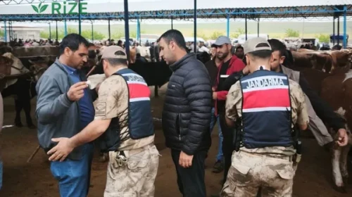 Şanlıurfa'da Kurban Bayramı İçin Hayvan Pazarlarında Güvenlik Önlemleri Üst Seviyeye Çıkarıldı