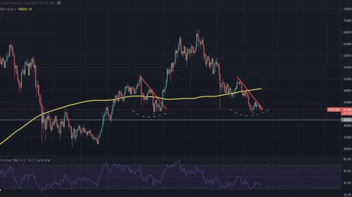 Bitcoin ve Altcoinlerde Yükseliş Trendine Dair Michael Van de Poppe'den Önemli Değerlendirmeler