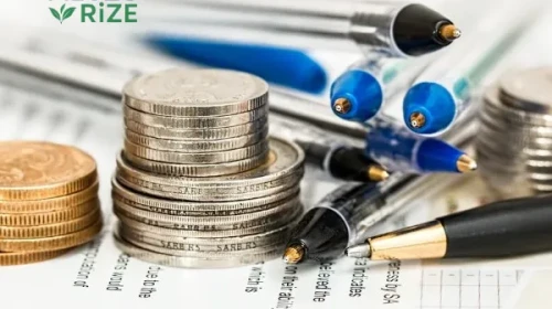 BİM'in Bedelsiz Pay Alma Hakkı Kullanımı Başladı!