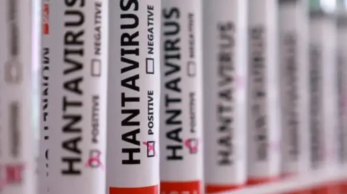 Herkesin aklında tek soru! Hantavirüs insandan insana bulaşır mı?