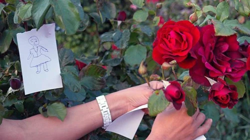 Hıdırellez: İslam'daki Yeri ve Kutlanmasının Dini Boyutu Nedir?