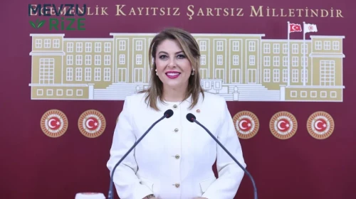 CHP'li Işık Gezmiş: Fındık ve Madencilik Arasında Bir Tercih Yapmayacağız!