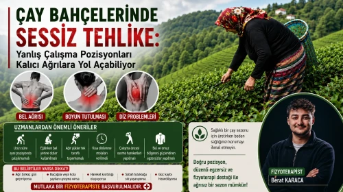 Çay Bahçelerinde Sessiz Tehlike: Yanlış Çalışma Pozisyonları Kalıcı Ağrılara Yol Açabiliyor
