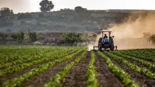 Çiftçiye dev destek: 6,4 milyar liralık ödeme bugün hesaplarda