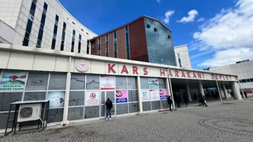 Kurban Bayramı'nın "acemi kasapları" hastanelik oldu