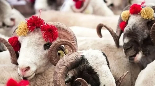 Kurban vekaleti nasıl verilir? Kurban vekaleti kimlere verilebilir, şartları ne?