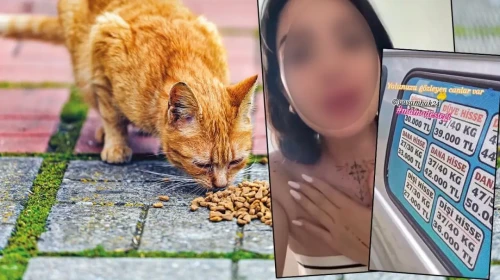 Mama lobisi gözünü kurbana dikti