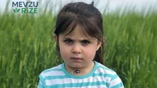 Leyla Aydemir davasında gözler yarınki kritik duruşmada