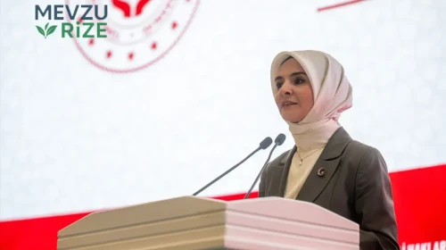 Engelli politikaları, sosyal devletimizin en güçlü alanlarından biri haline geldi