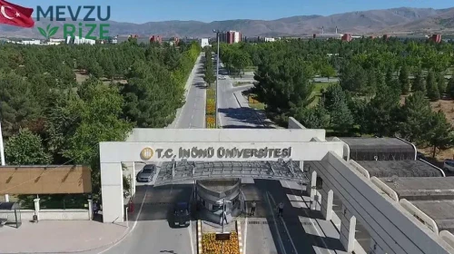 İnönü Üniversitesi (İNÜ) 2026 Tercih Rehberi: Taban Puanları (Son 4 Yıl) Başarı Sıralamaları