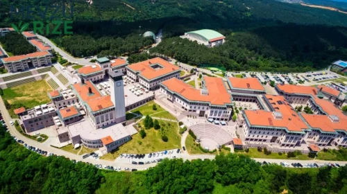 Koç Üniversitesi 2026 Tercih Rehberi: Taban Puanları (Son 4 Yıl) Başarı Sıralamaları